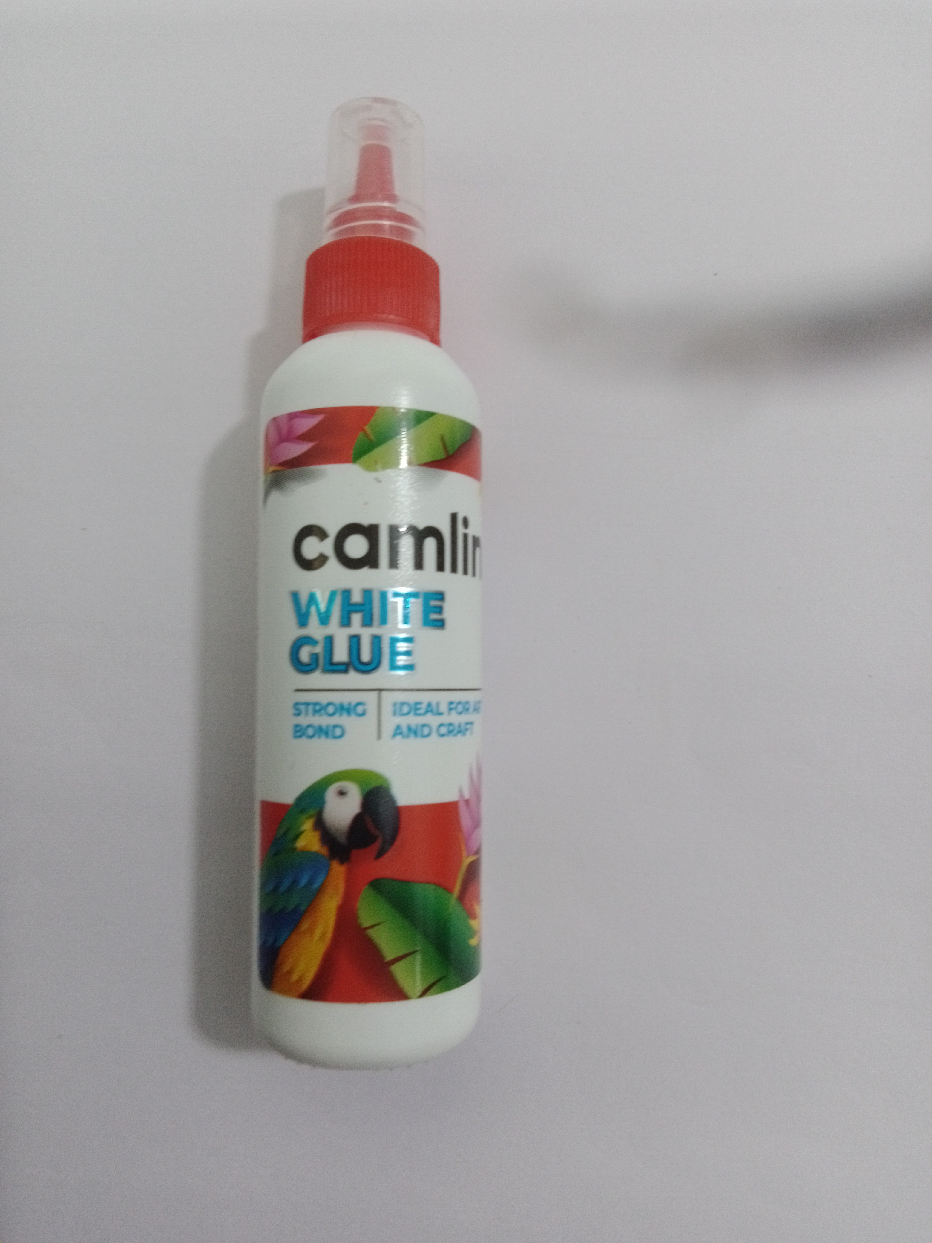 Camlin