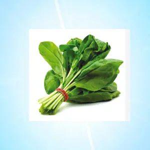 palak bhaji 1 pic